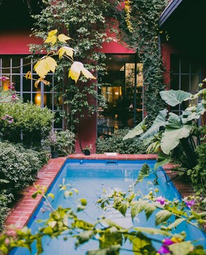 Kolam renang outdoor, dengan kursi berjemur