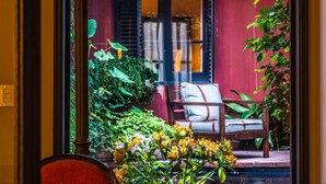 Une vue à travers une fenêtre donnant sur une pièce aux murs rouges, avec une porte, une chaise et un petit jardin agrémenté de fleurs.