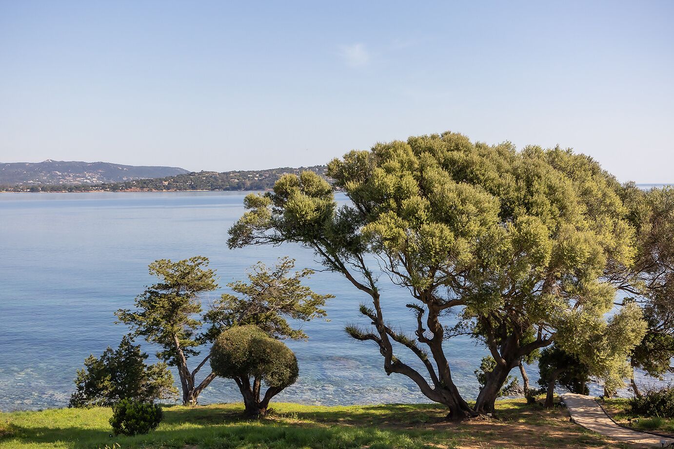A coastal landscape with trees and a clear view of the sea.