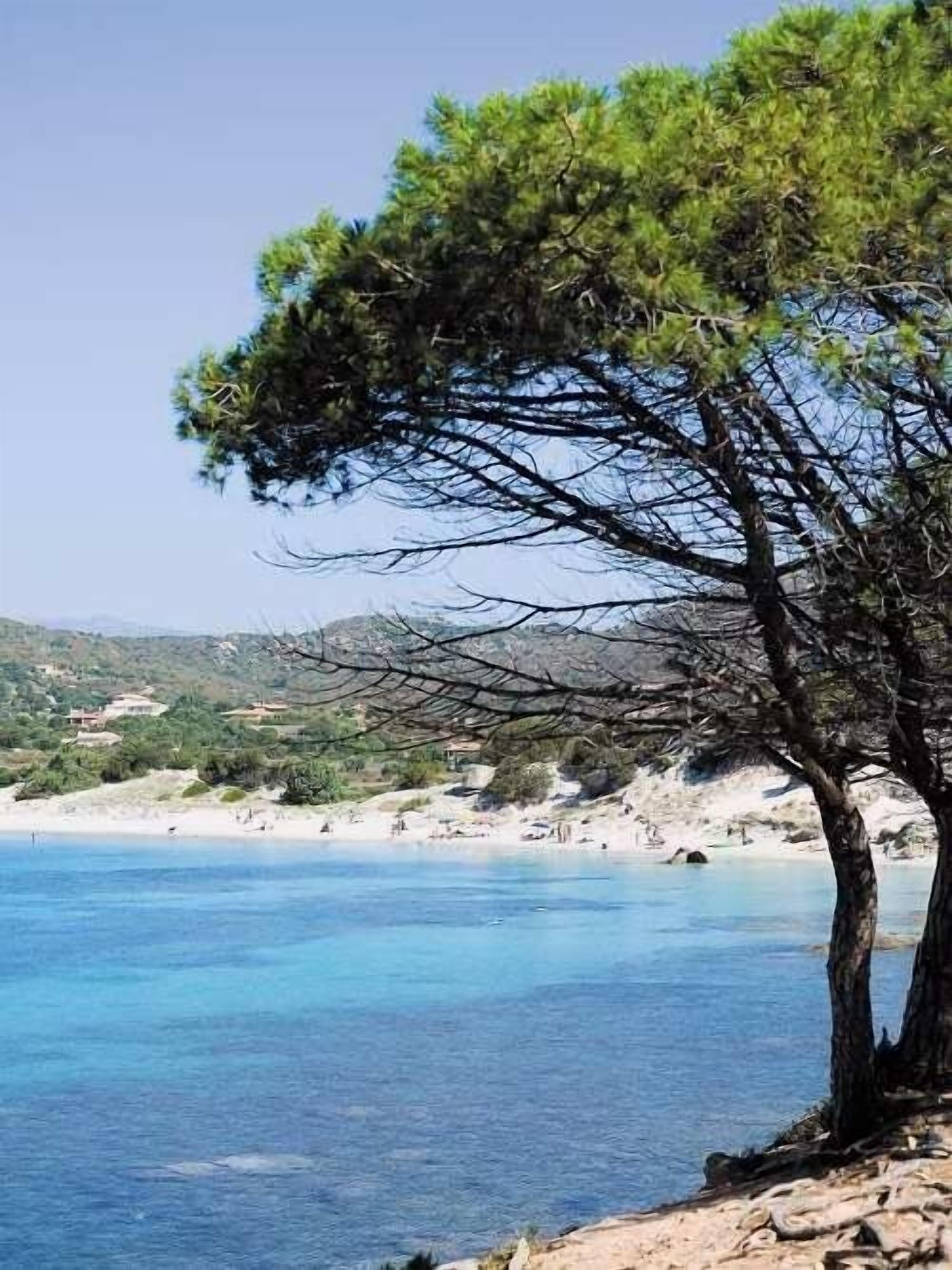 Vue depuis l’hébergement