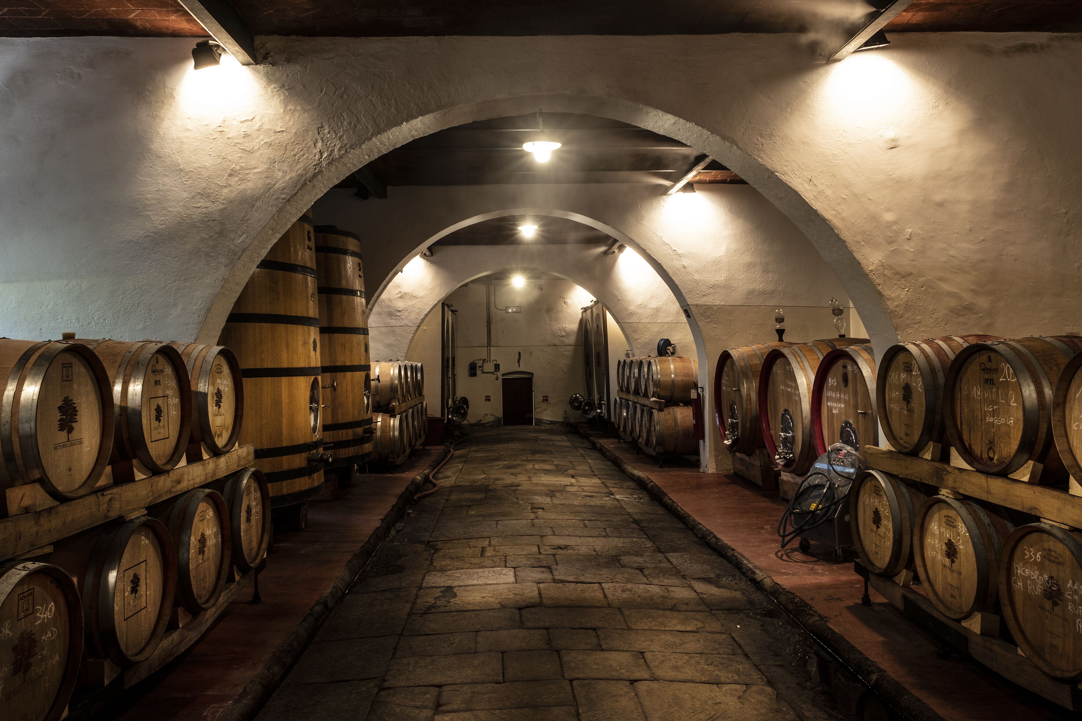A cellar with arched ceilings and wooden barrels lined up on shelves.