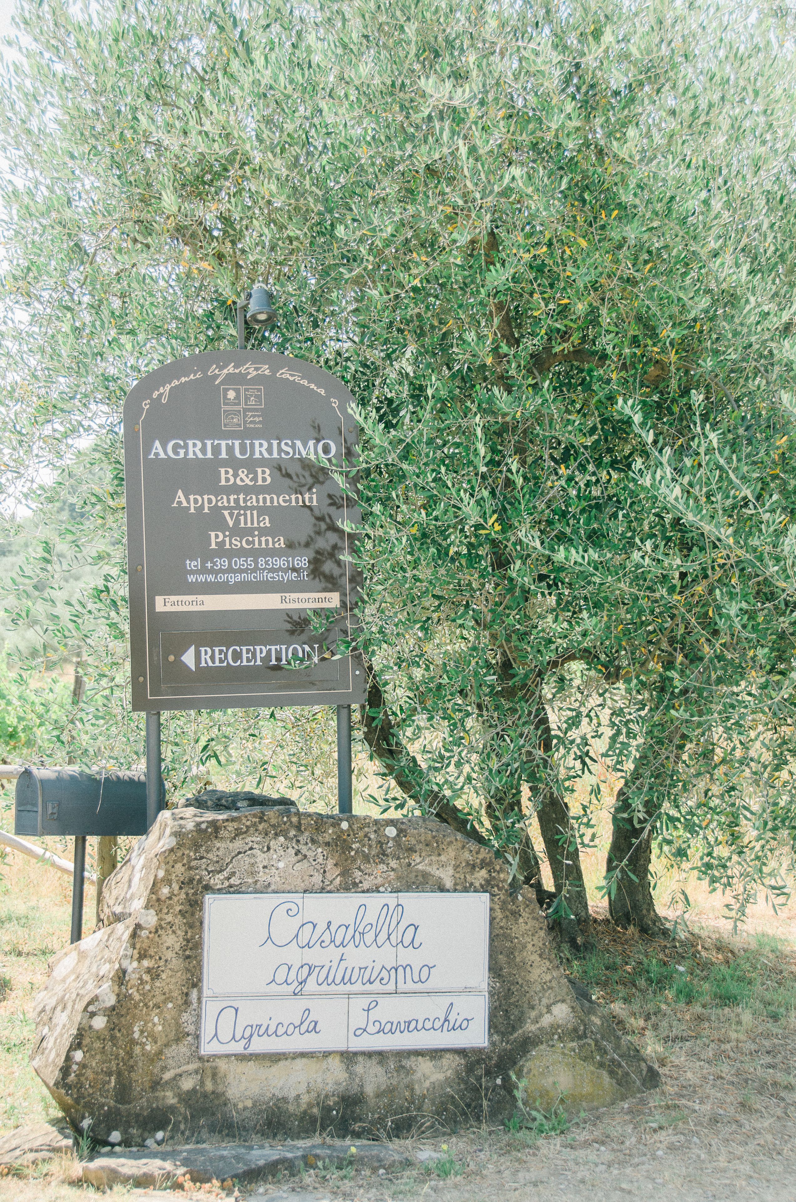 A signboard for AGRITURISMO B&B with a reception direction, located near an olive tree.