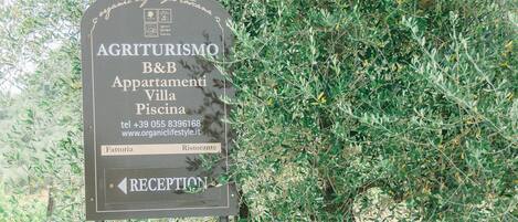 A signboard for AGRITURISMO B&B with a reception direction, located near an olive tree.