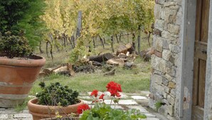 Un bâtiment en pierre avec une porte en bois, entouré d’un jardin agrémenté de plantes en pot et d’un vignoble en arrière-plan.