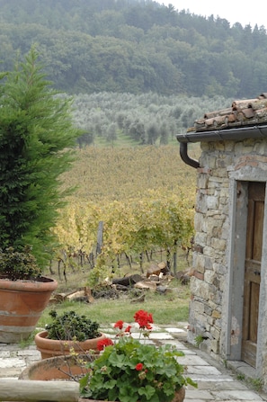 Exterior detail - Agriturismo Fattoria Lavacchio (Pontassieve)