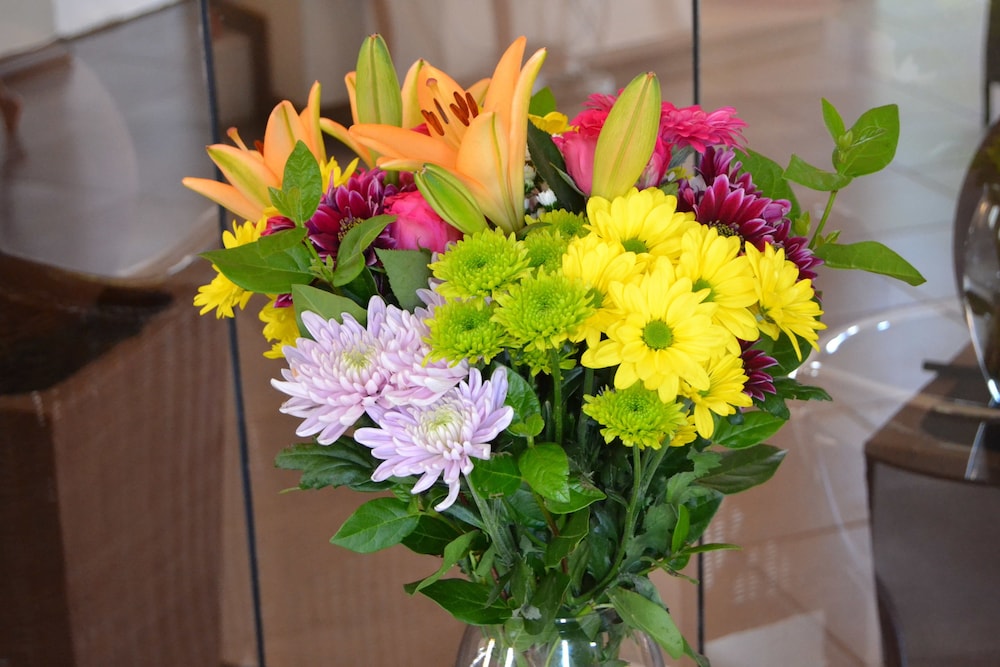 The Capital Guesthouse by null