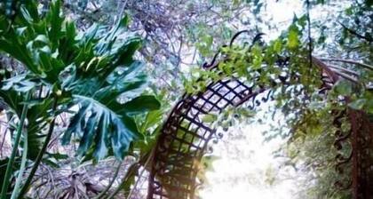 Bamboo, The Guest House