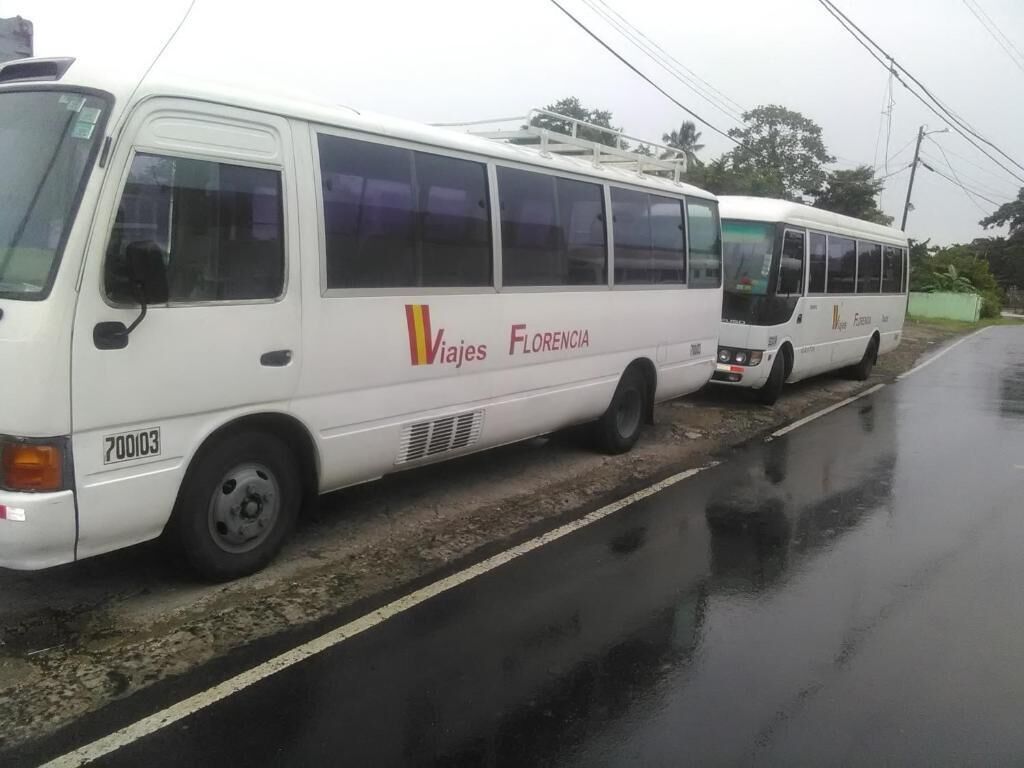 Dos autobuses blancos estacionados en una carretera mojada con superficie reflectante.