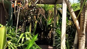 庭園