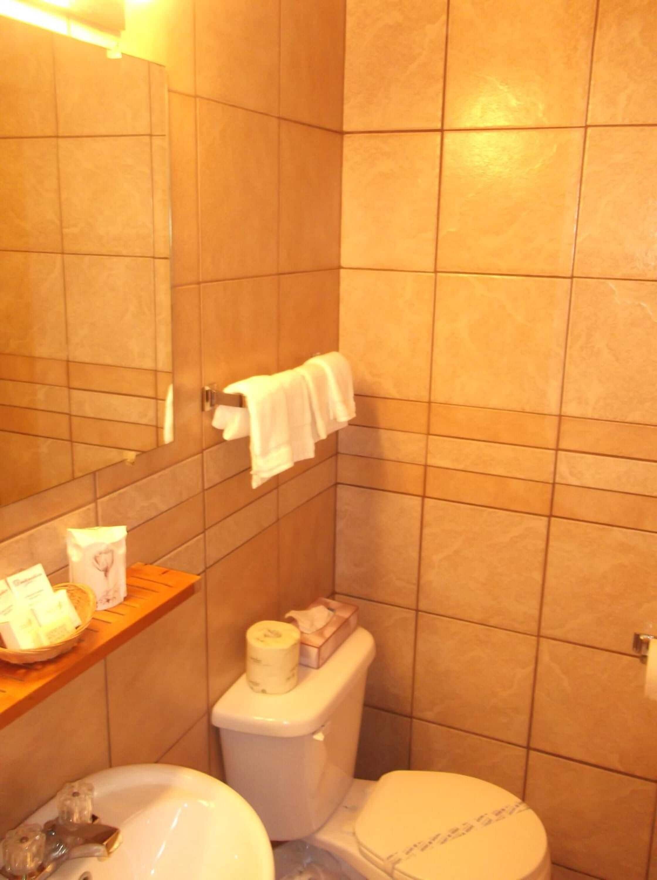 combined shower/bathtub, free toiletries, towels