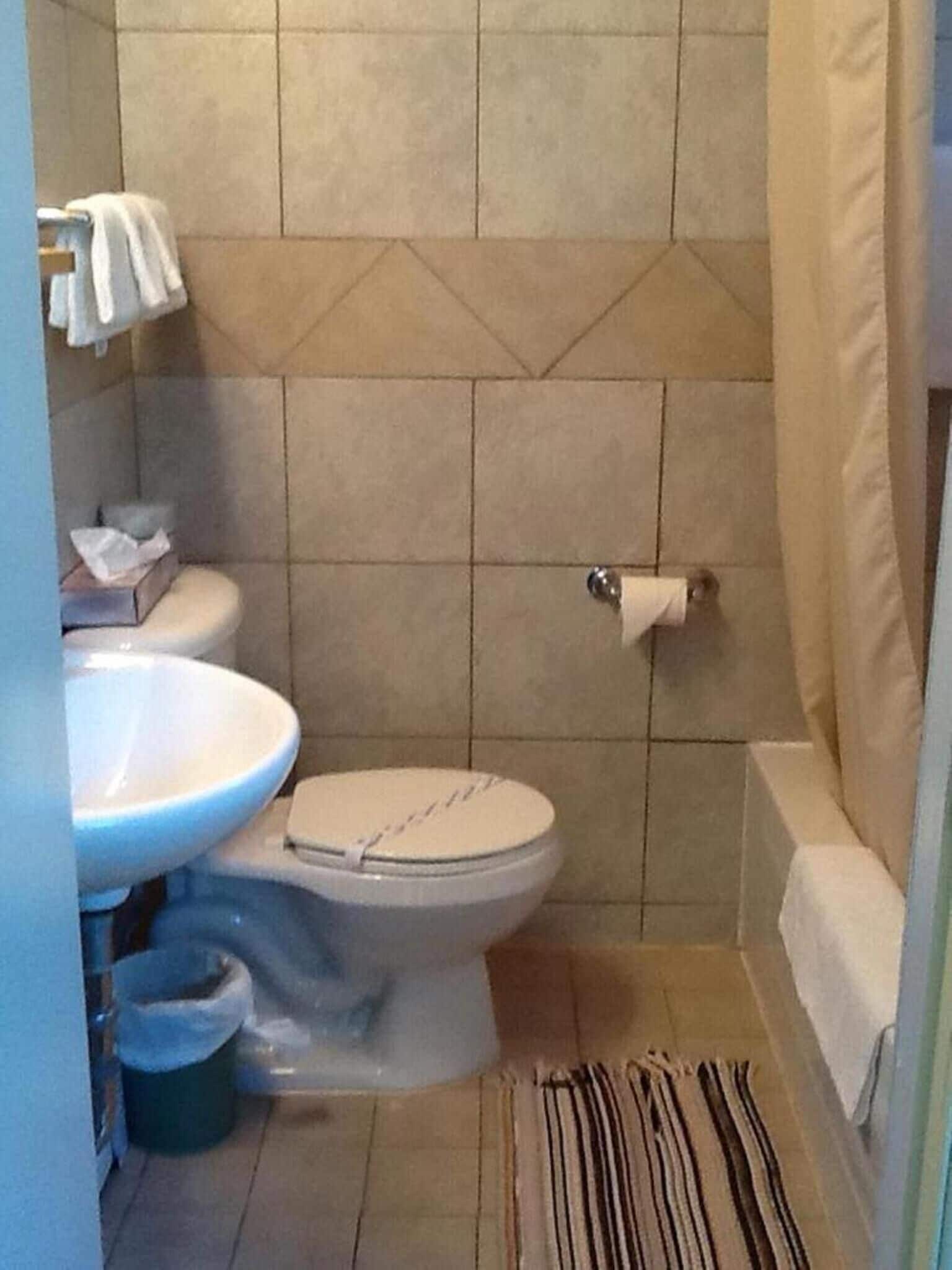 combined shower/bathtub, free toiletries, towels