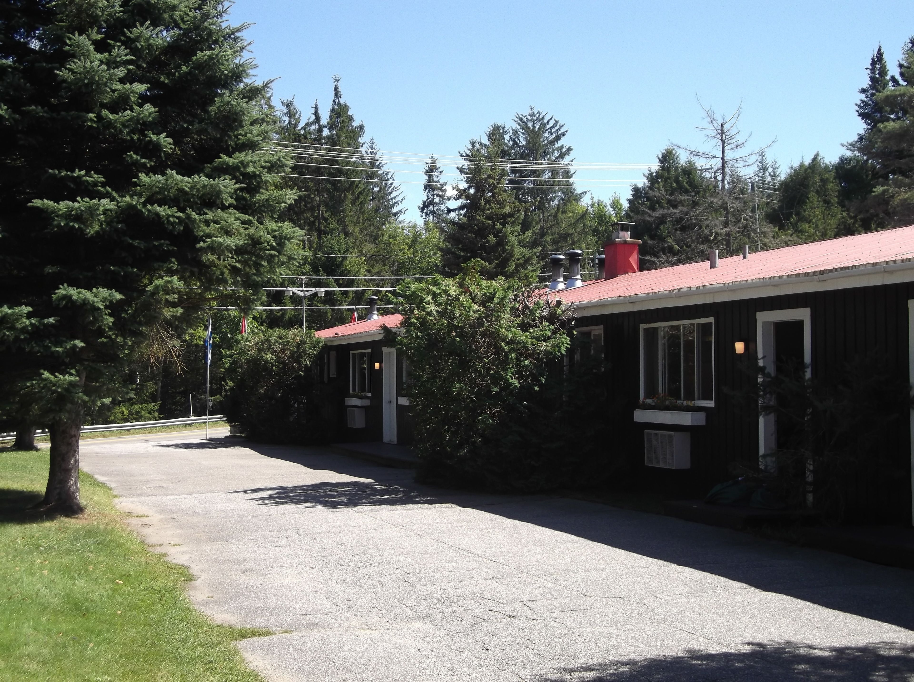 A row of cabins with a gravel driveway, surrounded by dense trees and a clear sky.