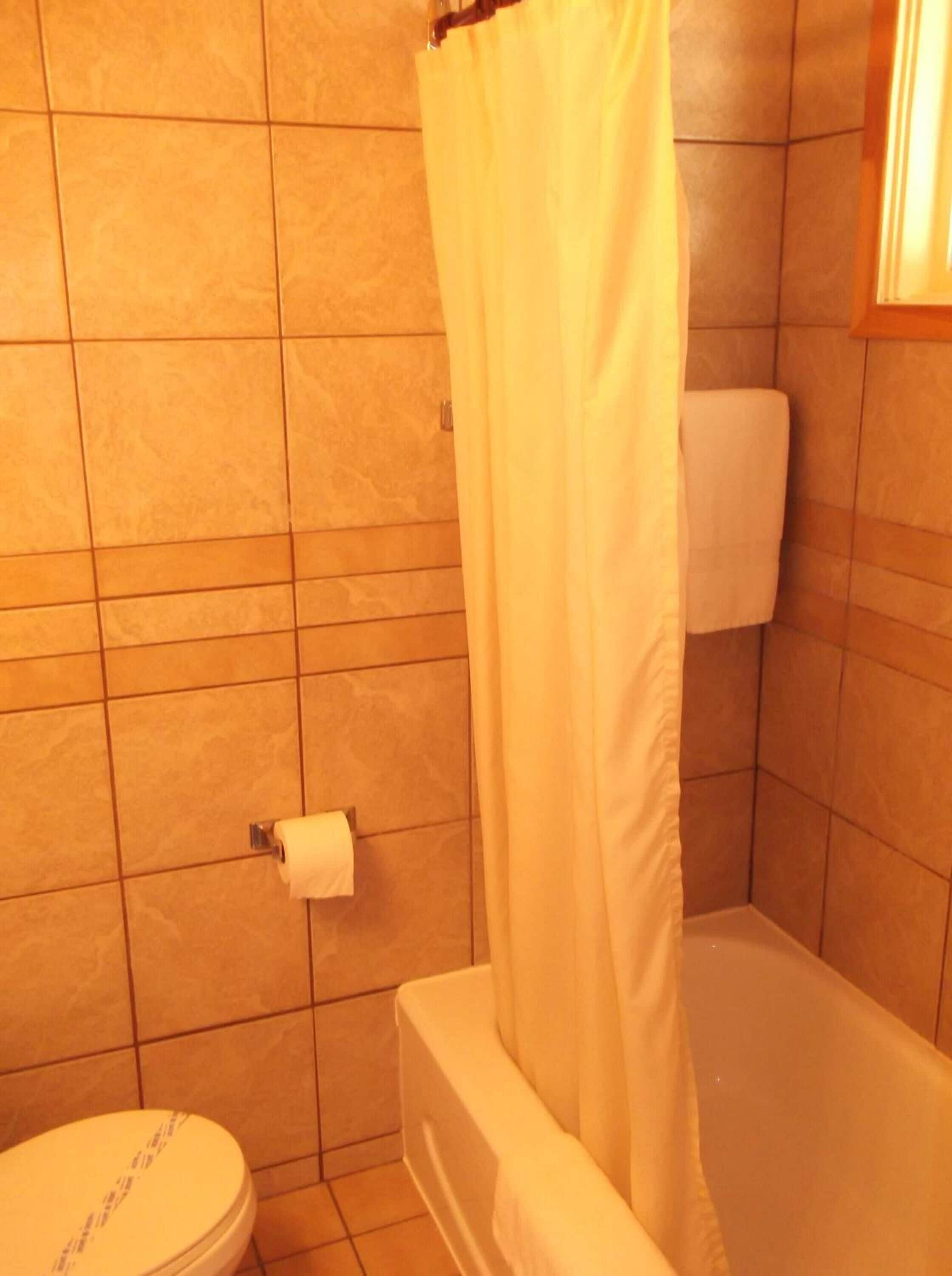 combined shower/bathtub, free toiletries, towels