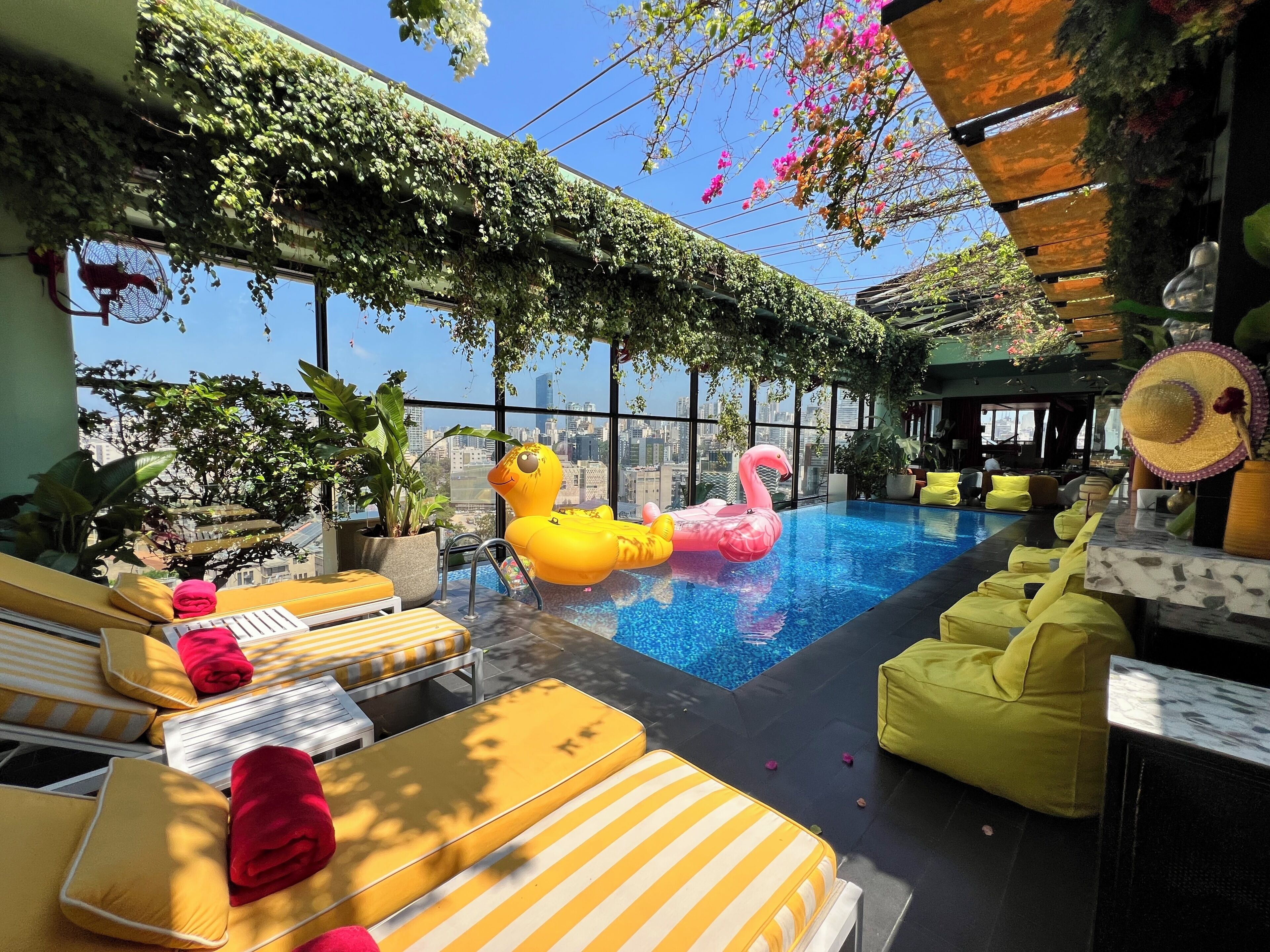 Outdoor pool, open 6:00 AM to 6:00 PM, pool loungers