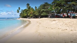 Una playa con palmeras, cielo despejado y algunos edificios al fondo.