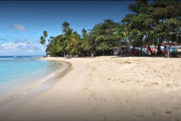 A beach with palm trees, a clear sky, and a few buildings in the background. - Lantana Resort (Weston)