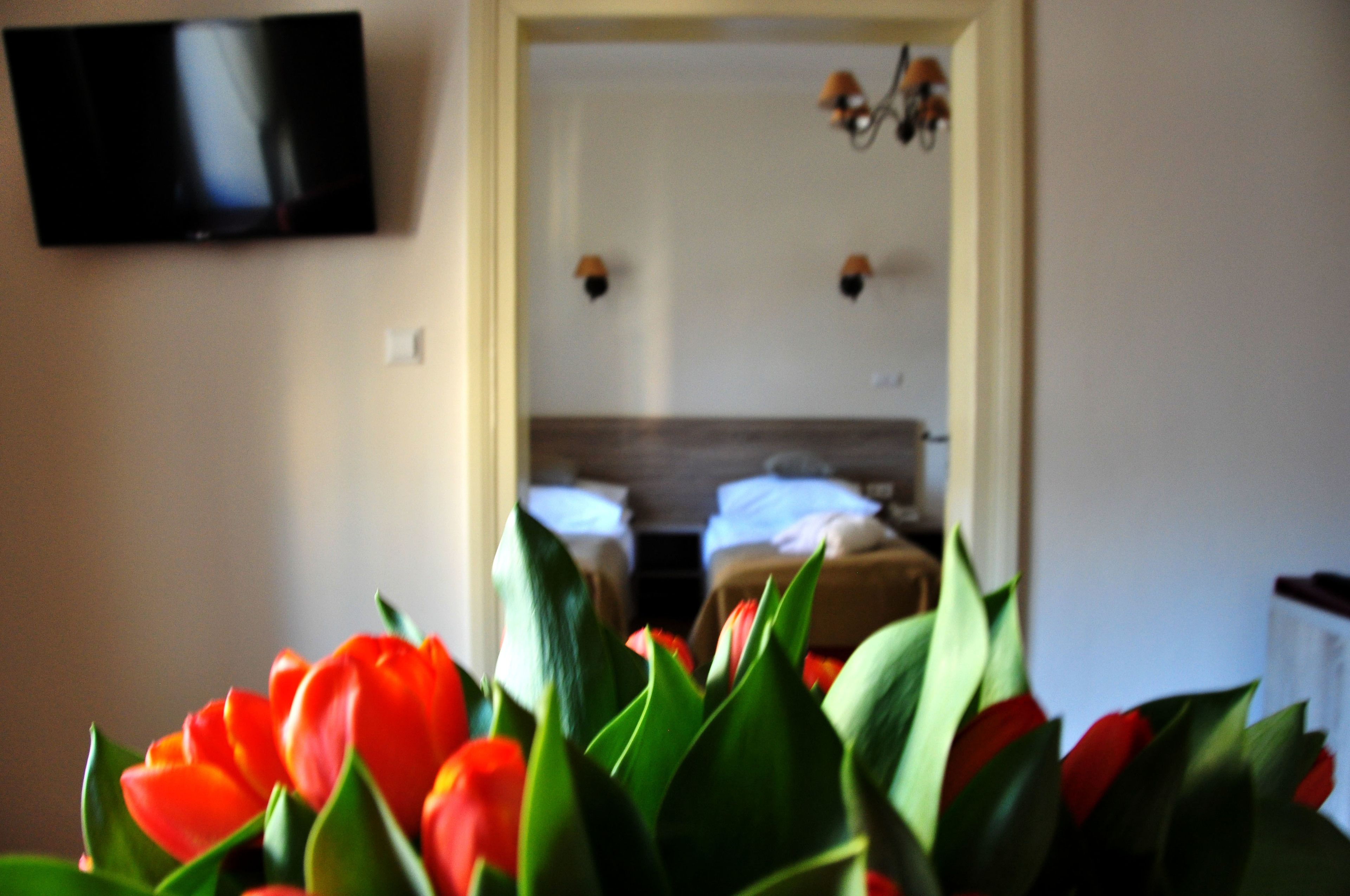 standard triple room | room amenity