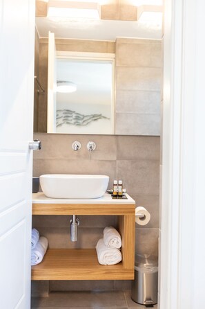 Regadera, amenidades de baño gratuitas, secadora de cabello, pantuflas 