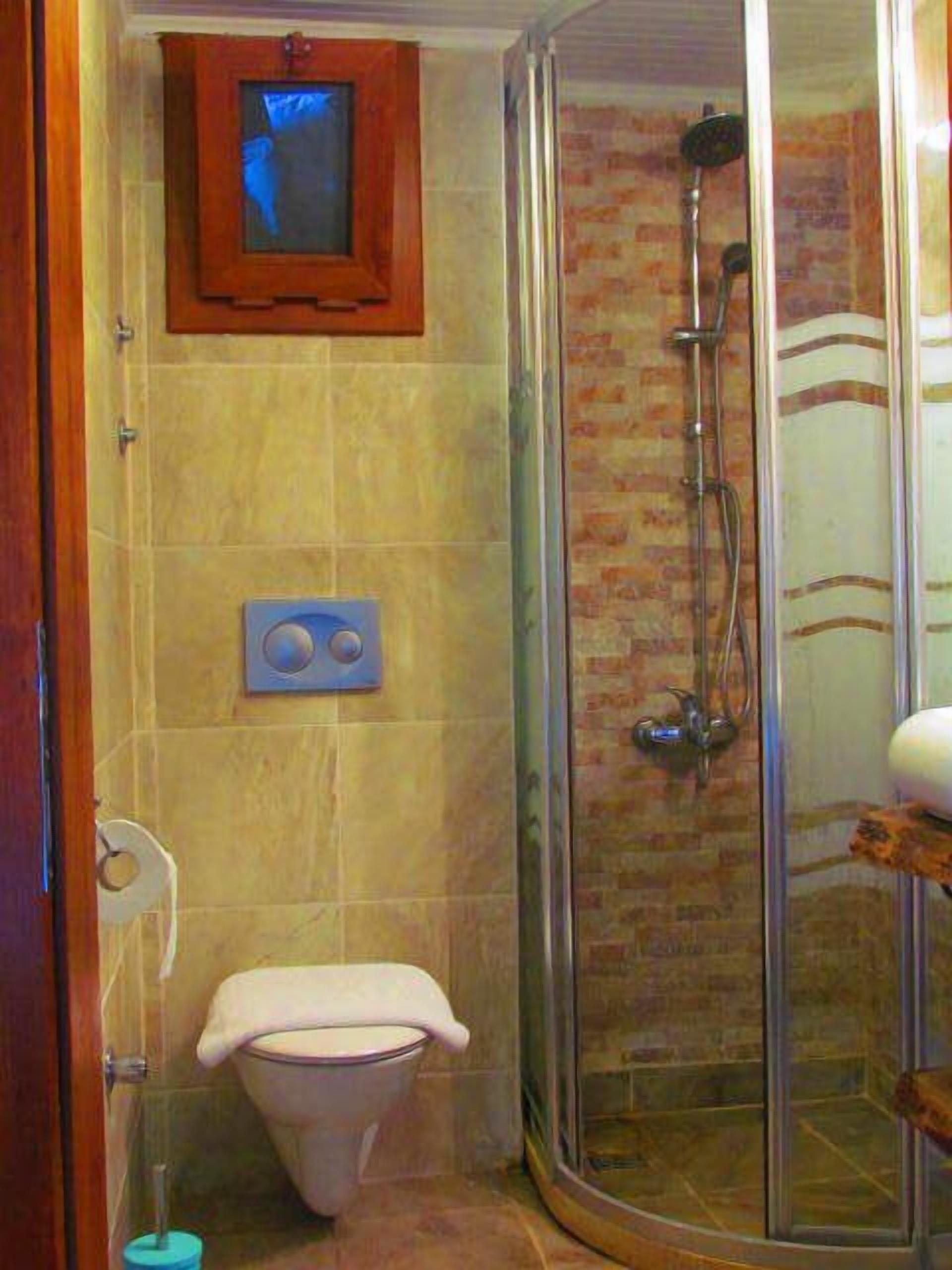 A bathroom with a shower, toilet, and a television mounted on the wall.