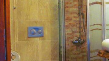 A bathroom with a shower, toilet, and a television mounted on the wall.