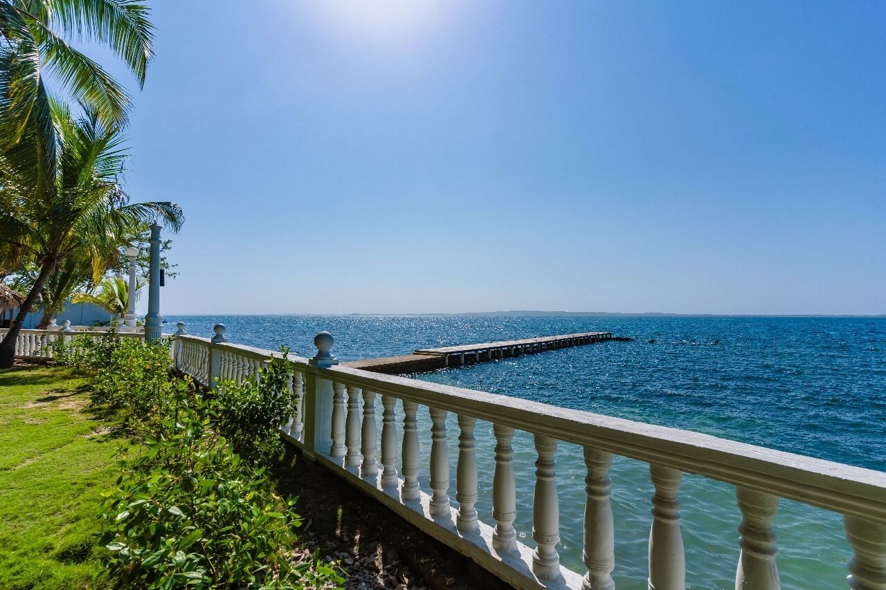 A coastal view with a white balustrade, palm trees, and a clear blue sky.