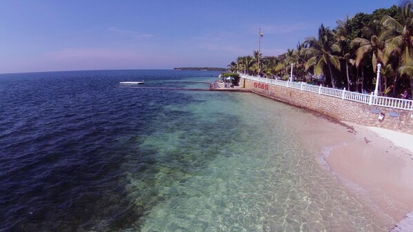 A beach with clear water, a white fence, and palm trees. - Hotel Cocoliso Island Resort (Rosario Islands)