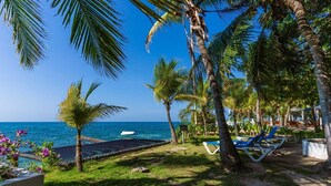 Une plage tropicale, avec des palmiers, un hamac et des chaises longues au bord de l’océan.
