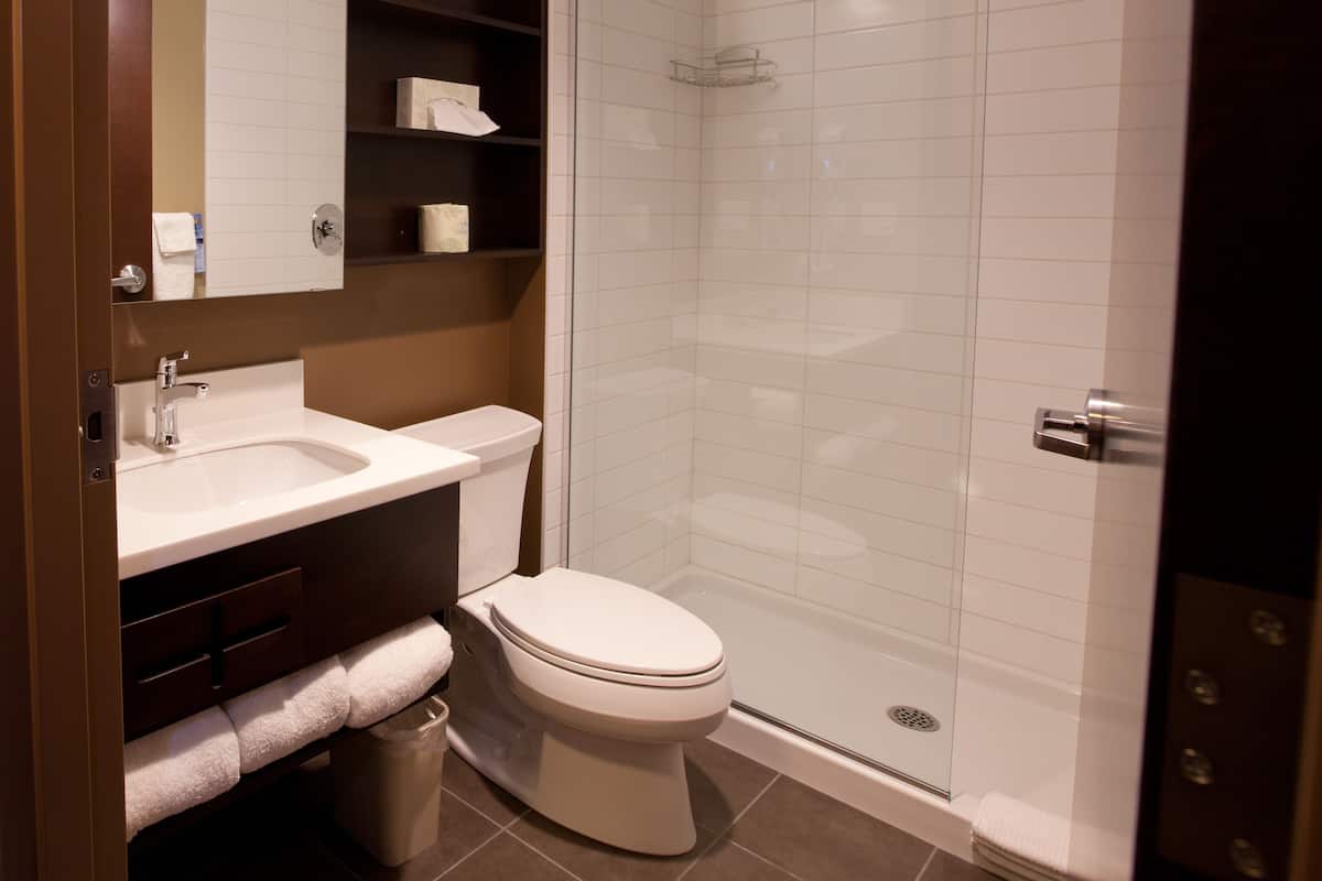 combined shower/bathtub, free toiletries, hair dryer, towels