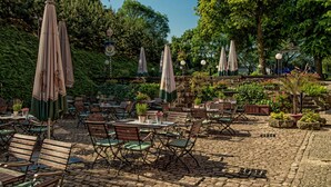 Ein Straßencafé mit Tischen und Stühlen, umgeben von Pflanzen und Bäumen.