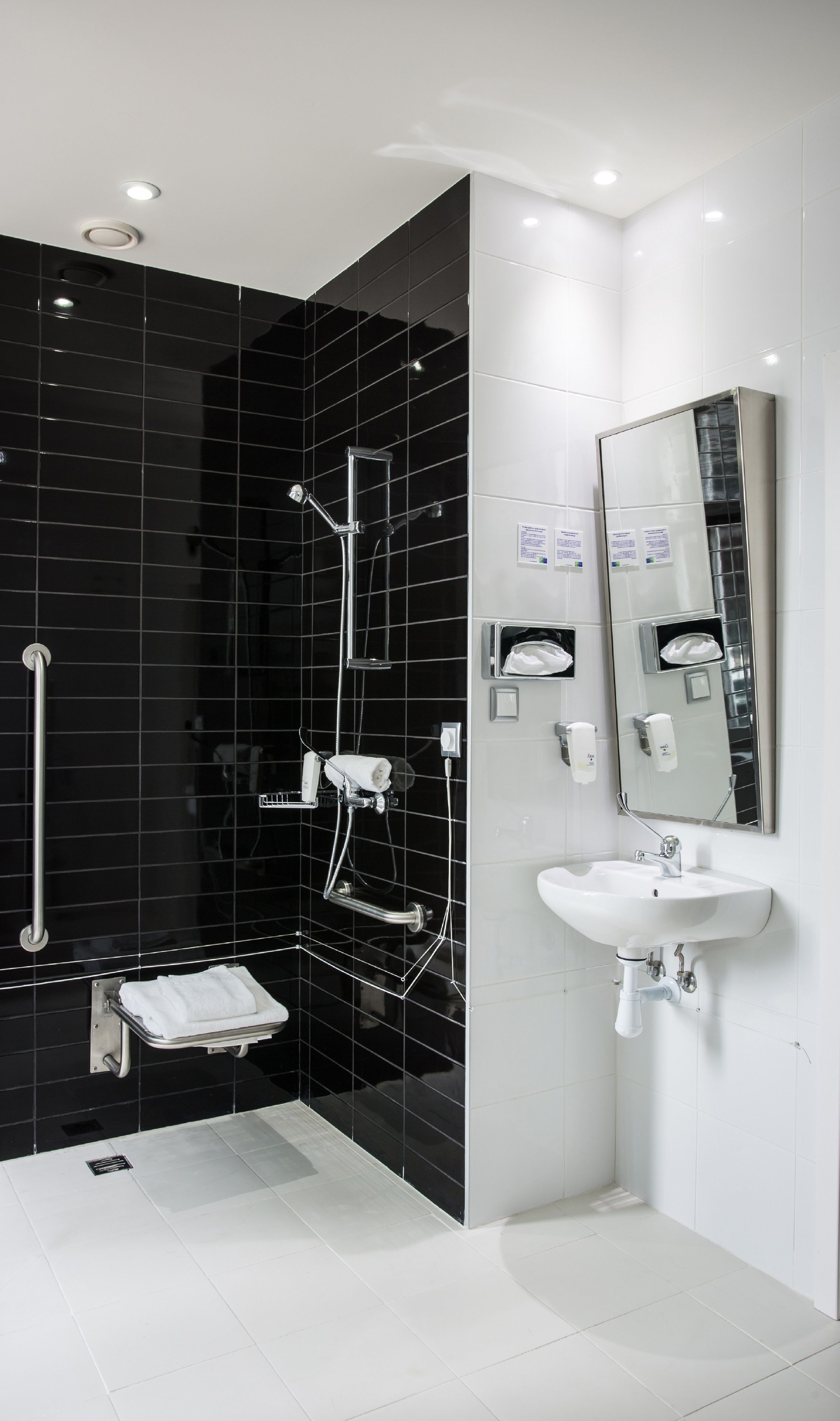 standard room, 1 double bed, accessible | bathroom | shower, free toiletries, hair dryer, towels