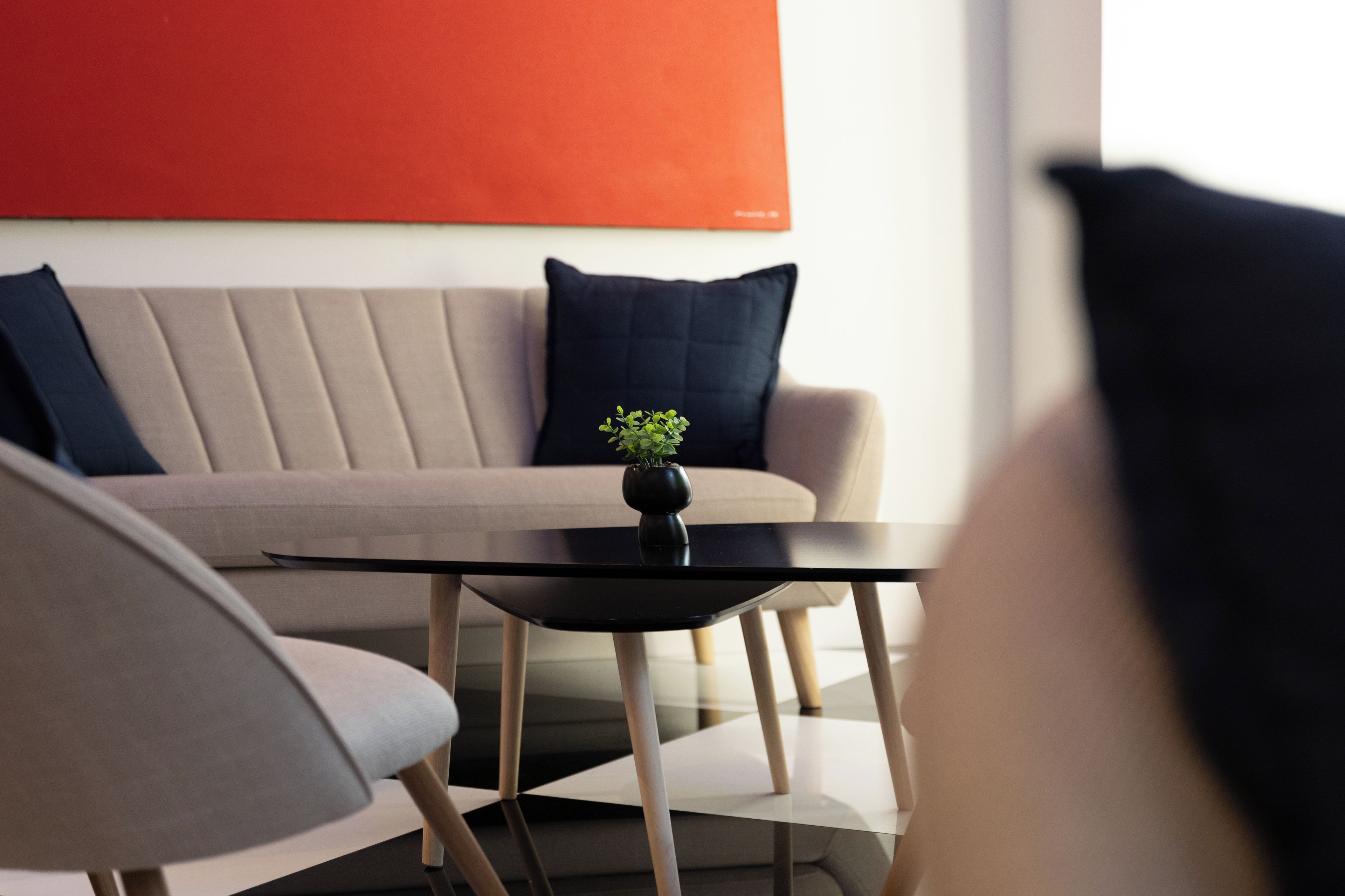 A modern living room with a sofa, a coffee table, and a small plant.