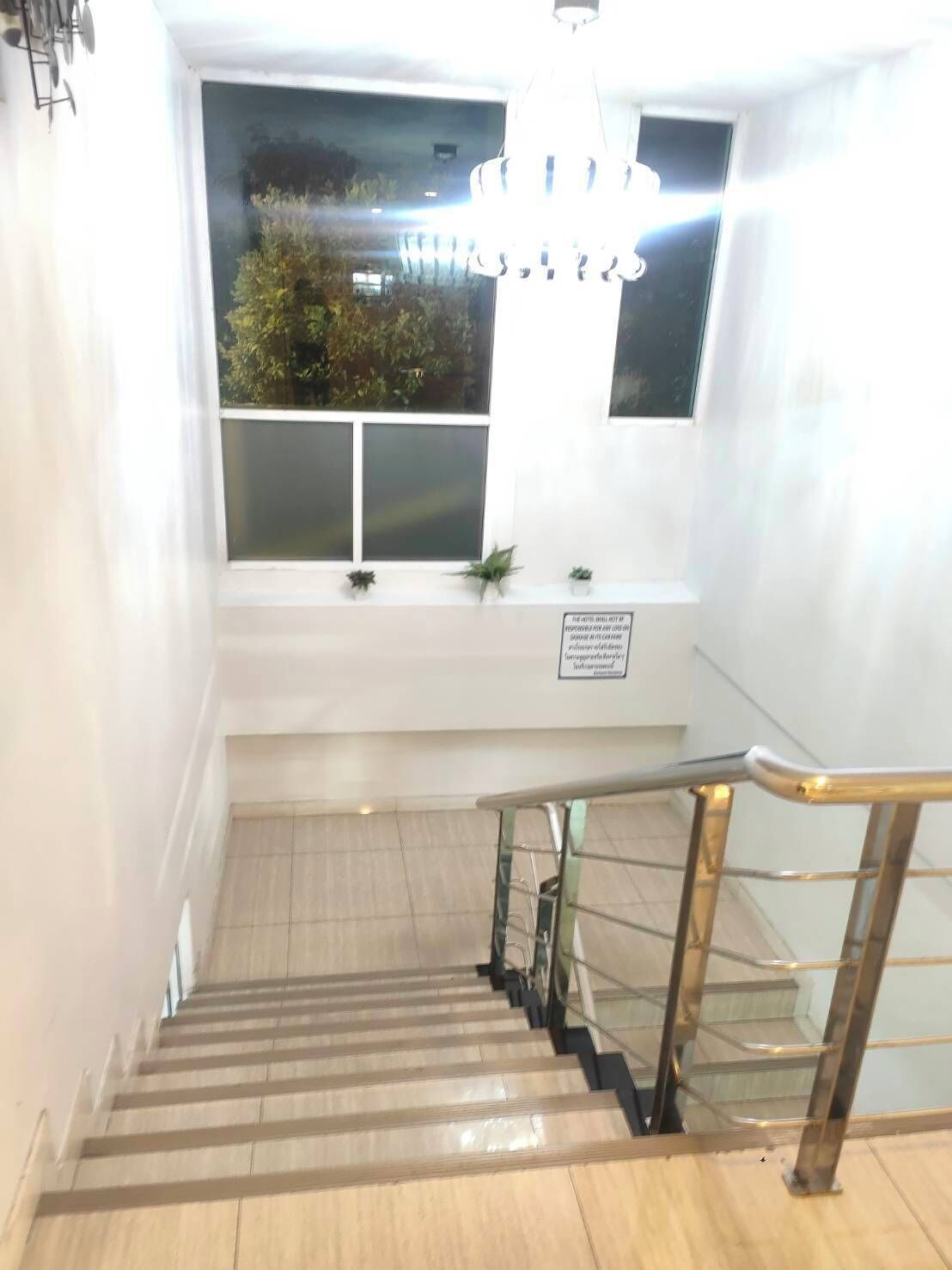 A staircase with a glass railing, a chandelier, and a window with plants.