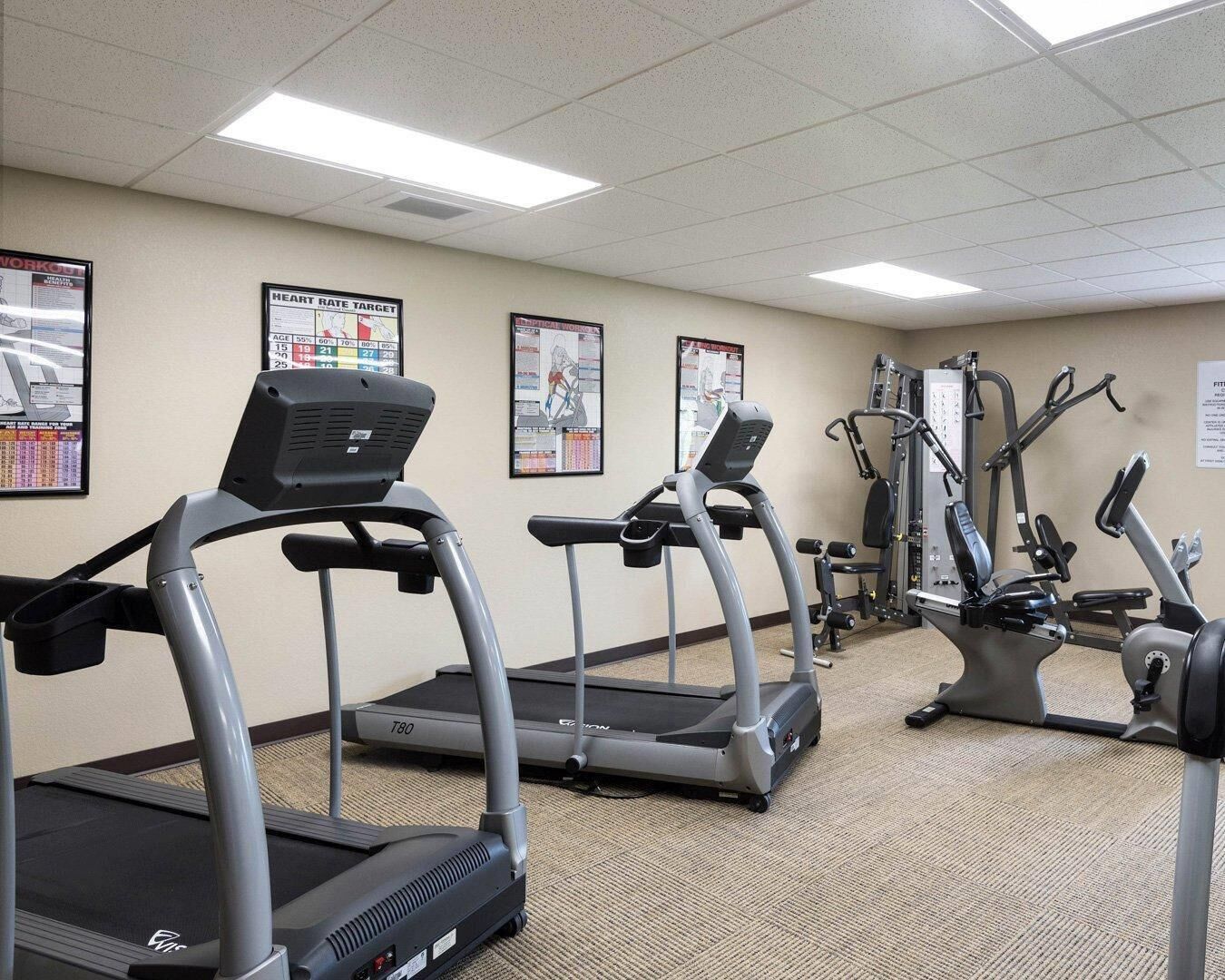 A fitness center with treadmills, elliptical machines, and weightlifting equipment.