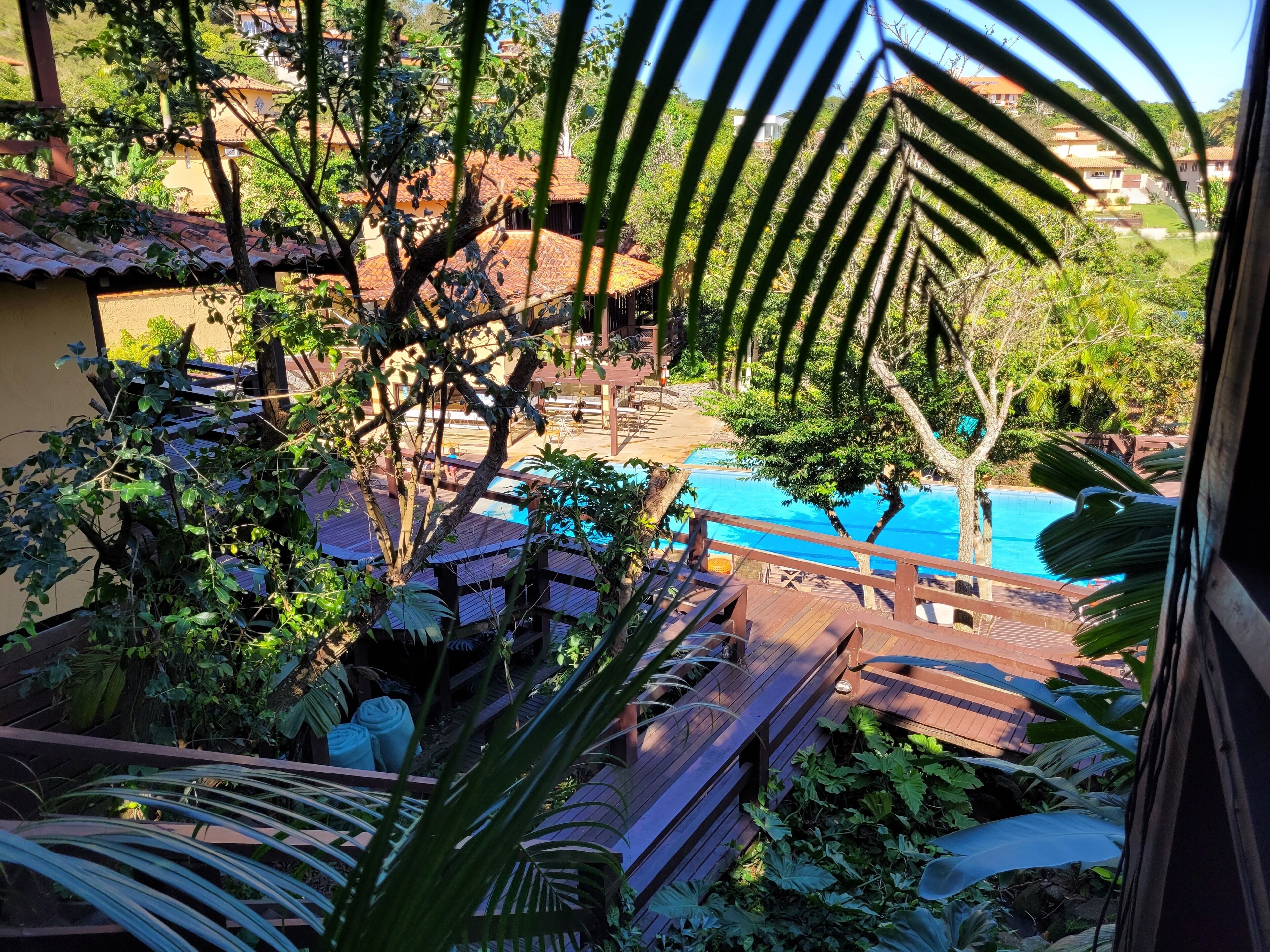 outdoor pool, pool loungers