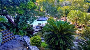 A lush garden with a gazebo, stone steps, and a variety of tropical plants. - Hotel La Foret & Beach Club (Búzios)