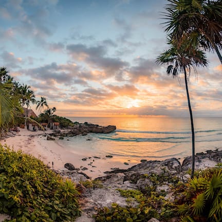 A beach with palm trees, a rocky shoreline, and a sunset.