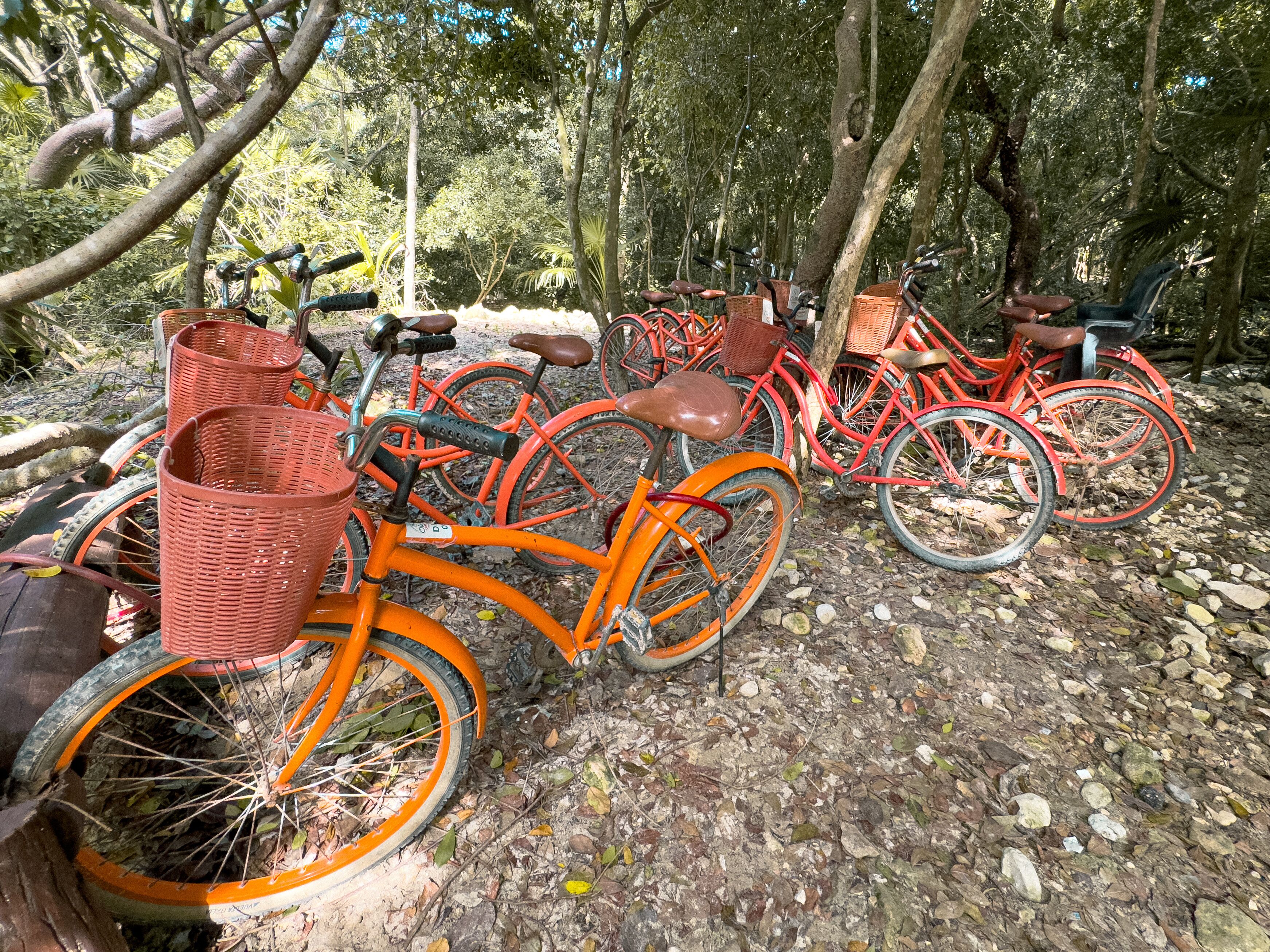 Foto - Diamante K - Inside Tulum National Park