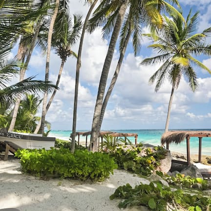 A beach with palm trees, a wooden structure, and a boat named 'Grace' on the sand.