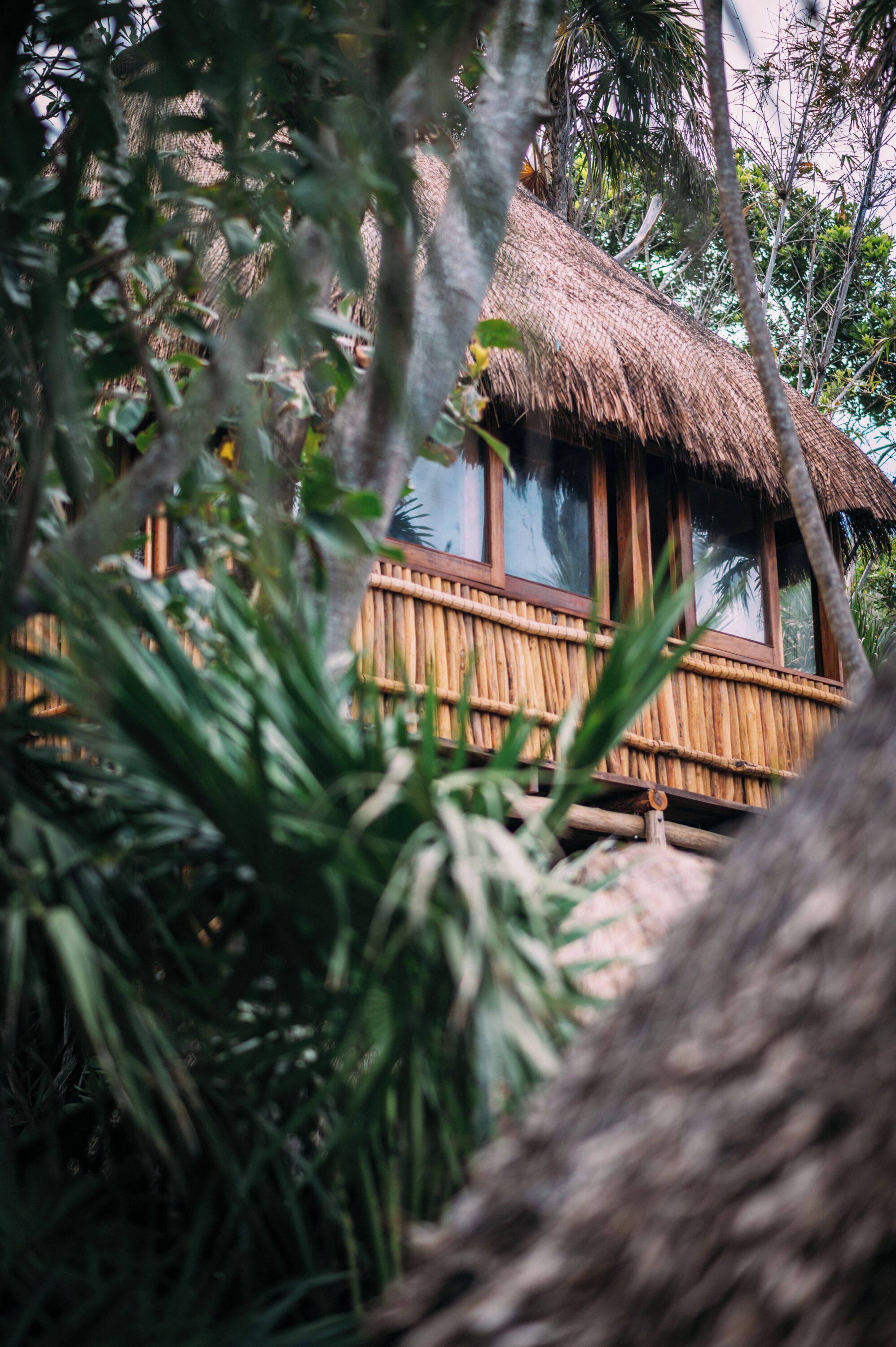 Foto - Diamante K - Inside Tulum National Park