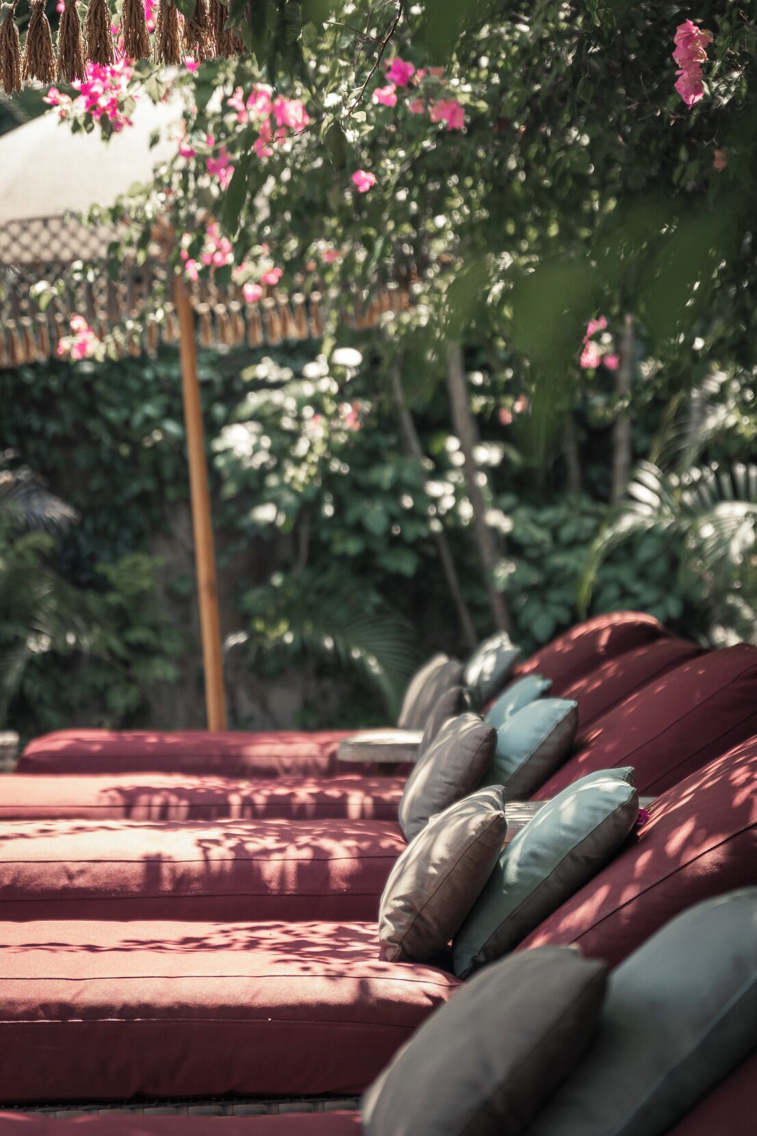 Una fila de asientos tapizados rojos con almohadones, rodeada de exuberante follaje y flores rosadas.