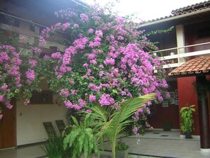 Property grounds - Pousada Recanto de Minas (Porto Seguro)