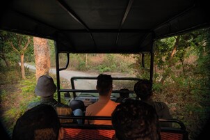 Interior de vehículo con pasajeros sentados.