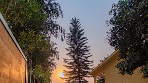 A stone pathway leading to a yellow building with a brick wall on one side. - Hotel Seven Limited (Sauraha)