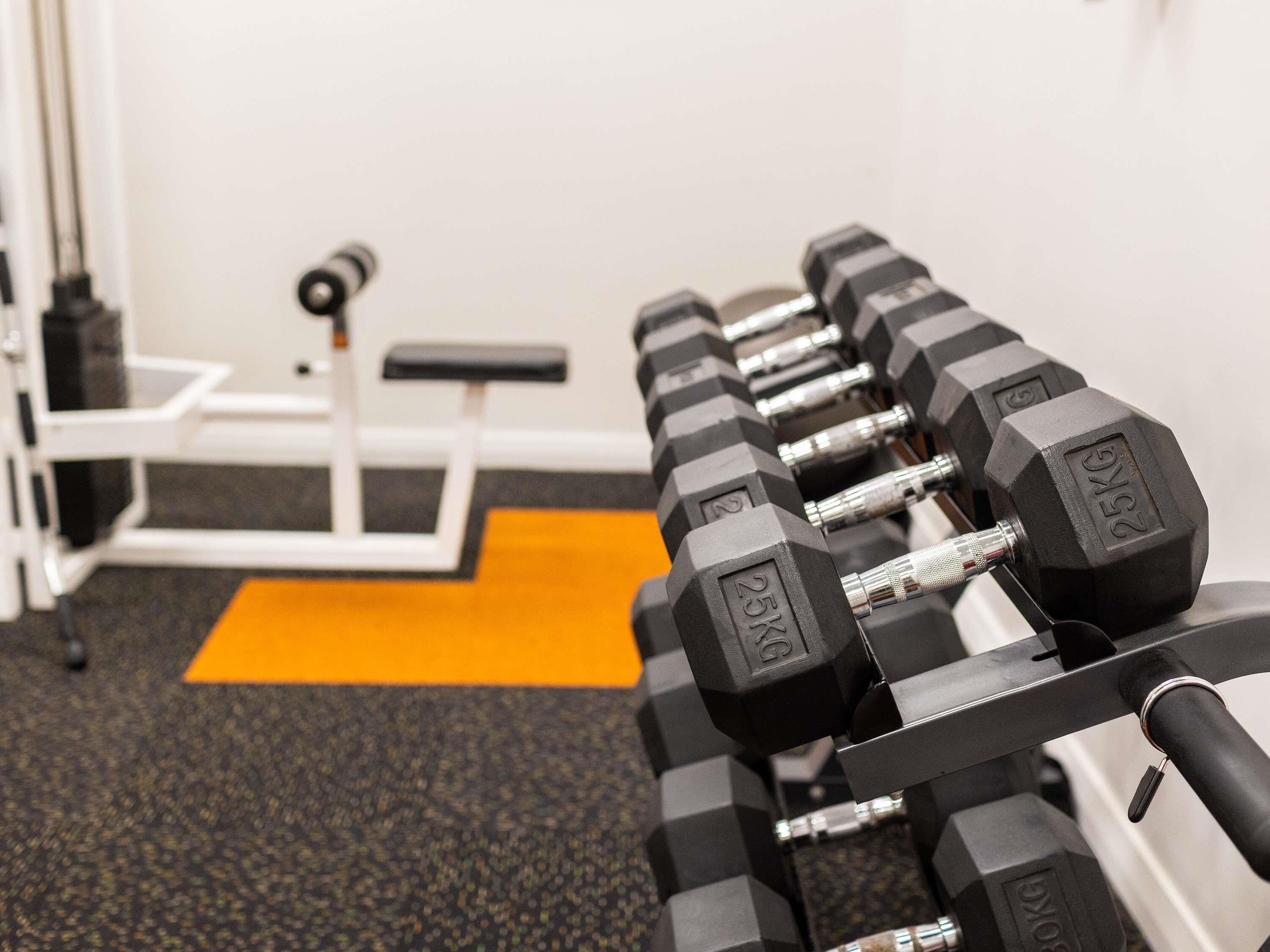 A row of 25kg dumbbells on a rack, a bench, and a dumbbell stand in a gym setting.