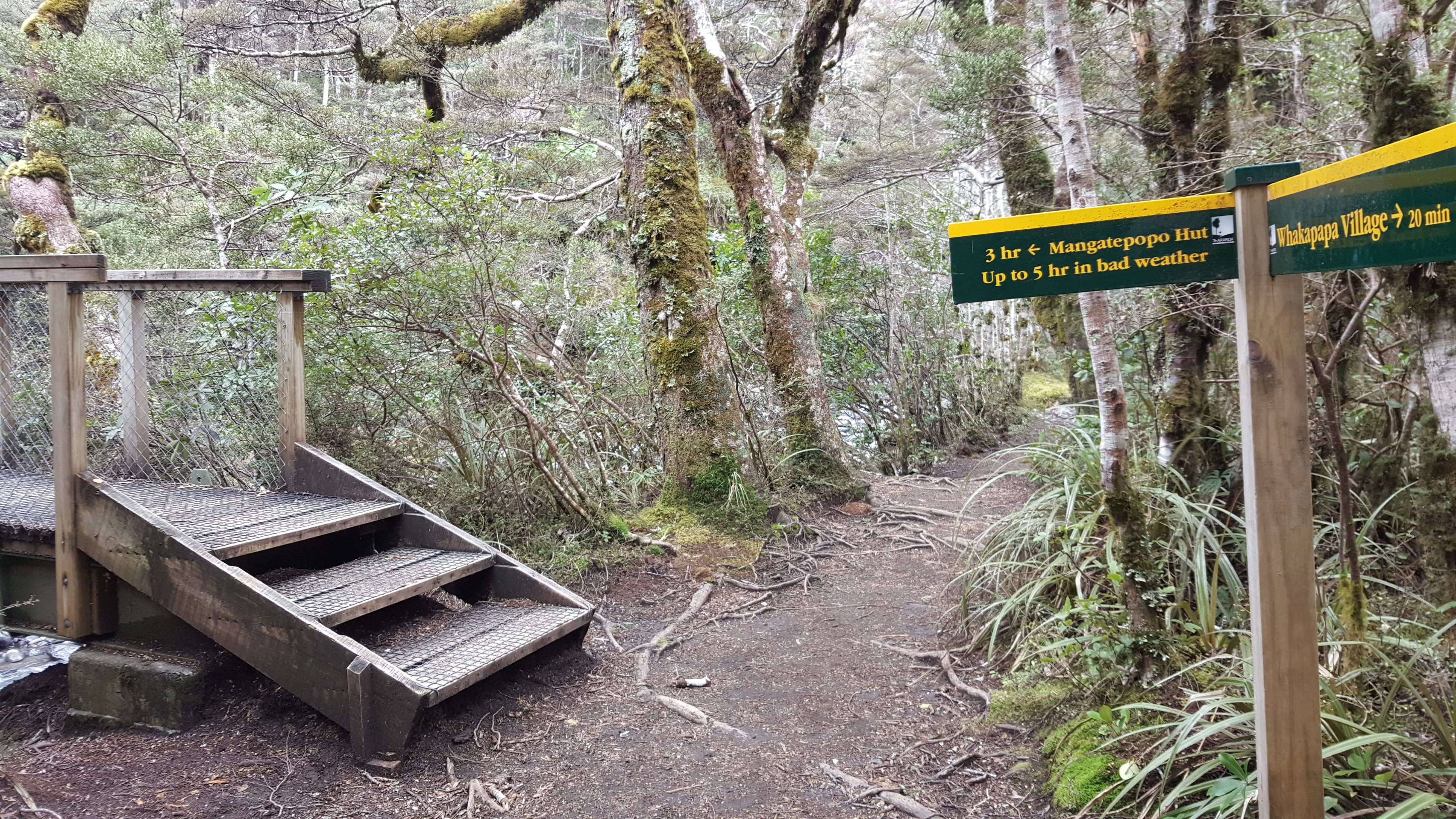 Un escalier en bois mène à un sentier forestier, et des panneaux indicateurs indiquent les distances vers les lieux d’intérêt à proximité.