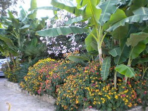 Property grounds - Paradise Lost Hotel-Apartments (Nafplio)