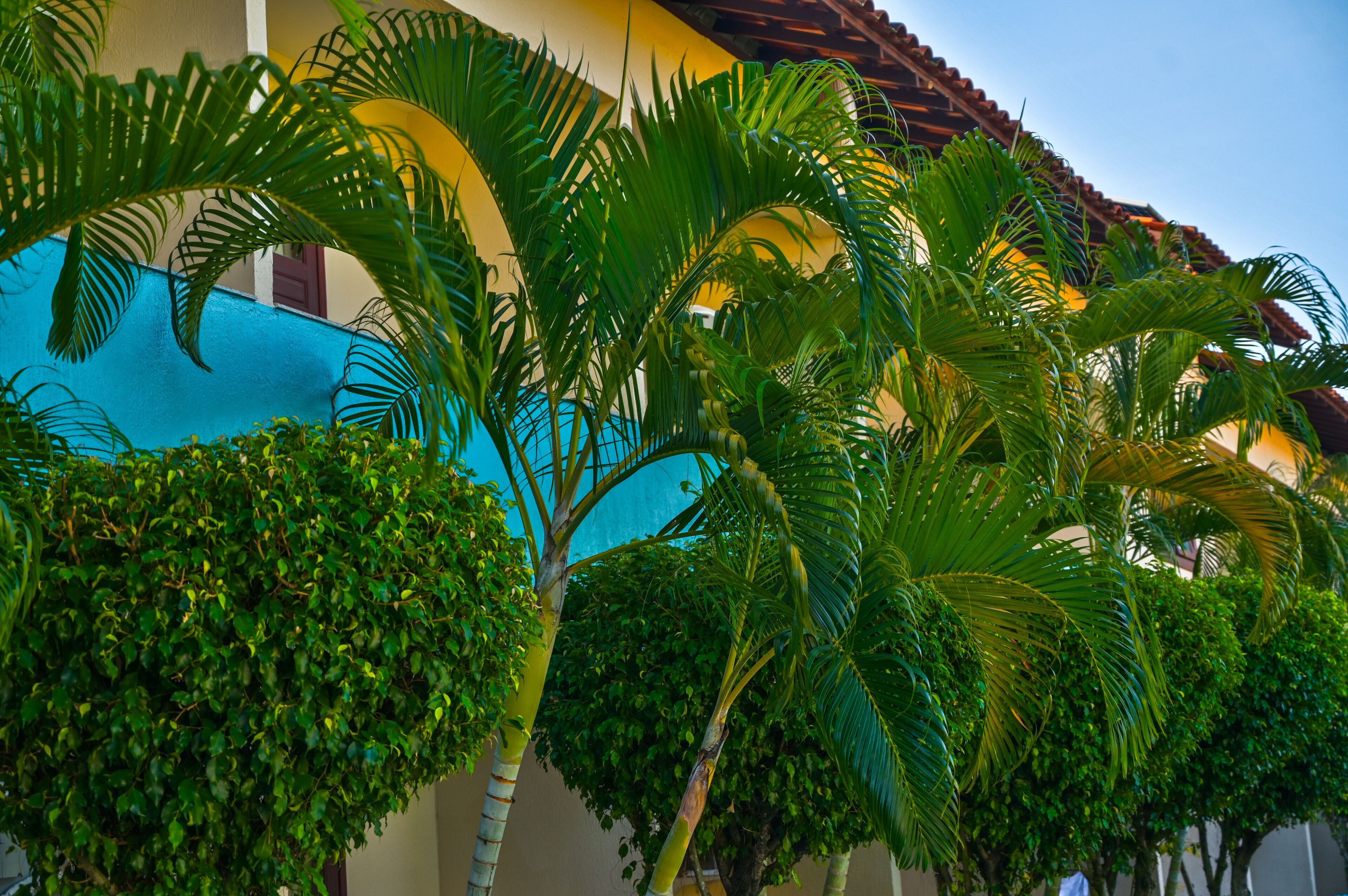 Photo - Ayla Praia Hotel Centro Porto Segur