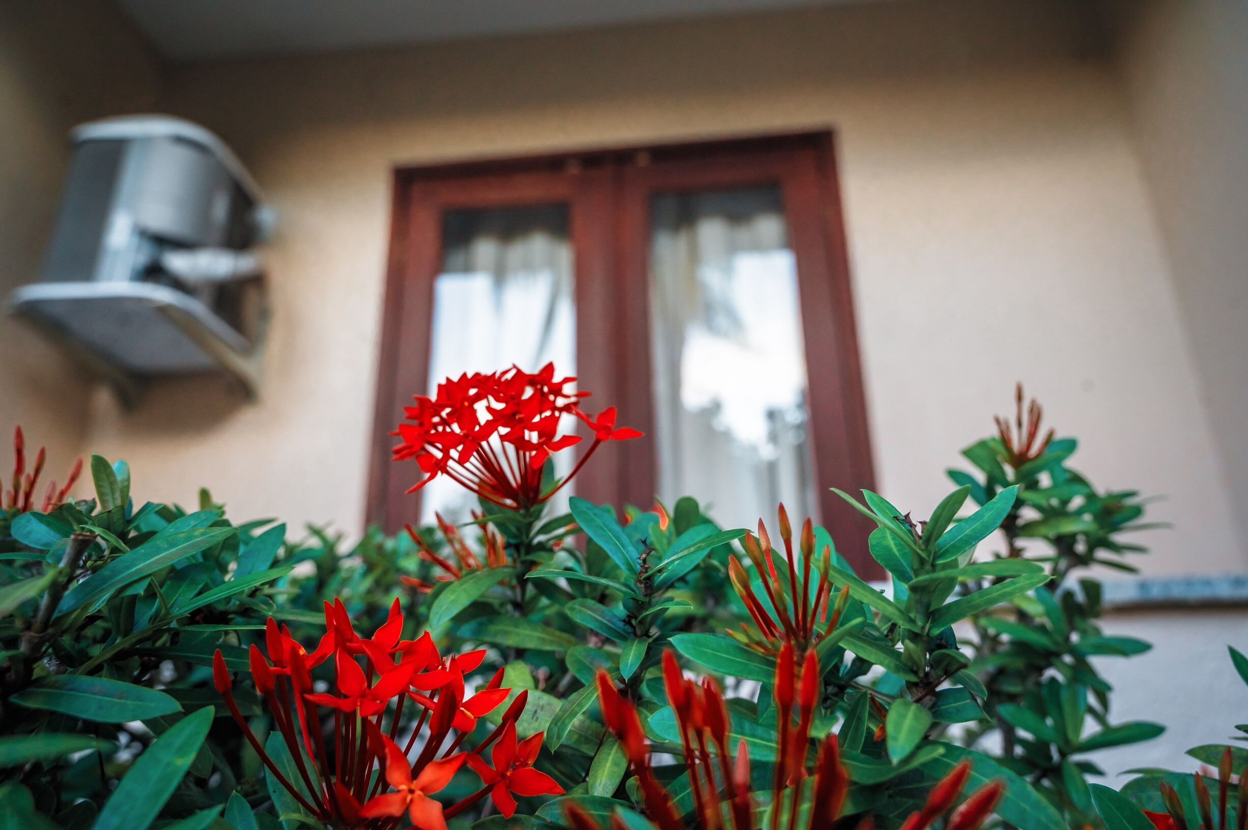 Photo - Ayla Praia Hotel Centro Porto Segur