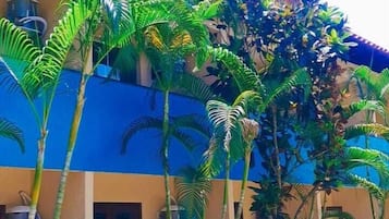 Deluxe Suite | 1 bedroom, minibar, blackout drapes, free WiFi