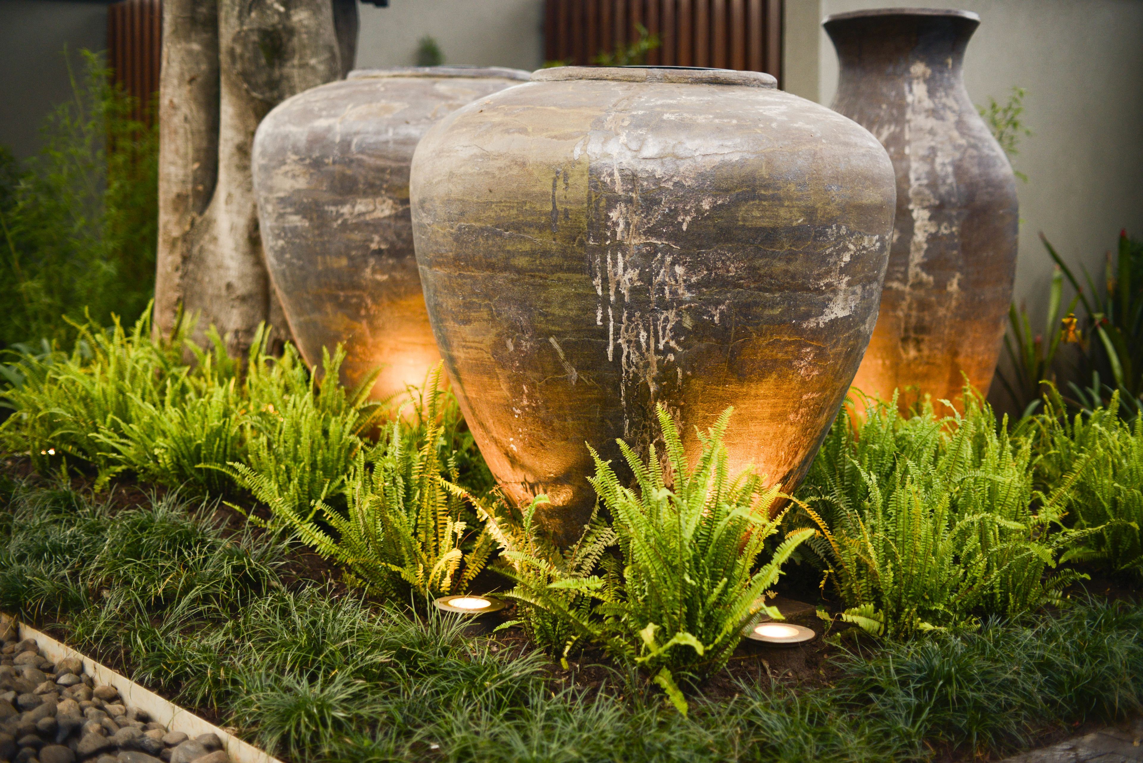 Three large glass vases with a rustic finish, placed on a bed of green ferns and surrounded by rocks.